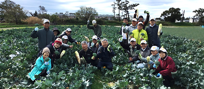野菜コース(応用編)