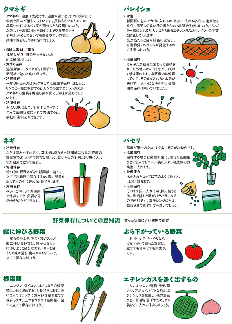 野菜の保存方法＆豆知識｜Jaとぴあ浜松