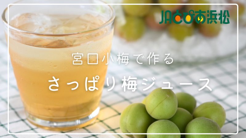 「宮口小梅」で作る梅ジュース動画 公開中！