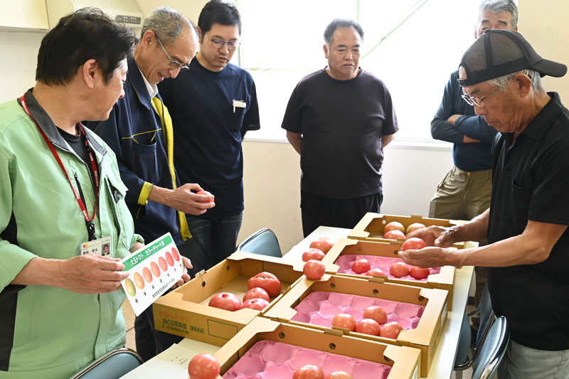 春作トマト目ぞろい会