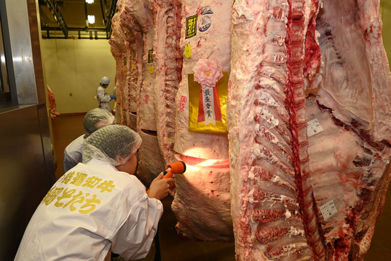 第４４回JAとぴあ浜松牛枝肉共励会