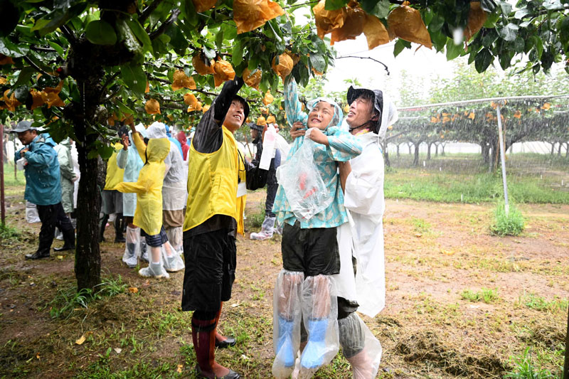 地域農業の応援団が秋の味覚🍐を収穫～ 青壮年部「あぐり体験隊」