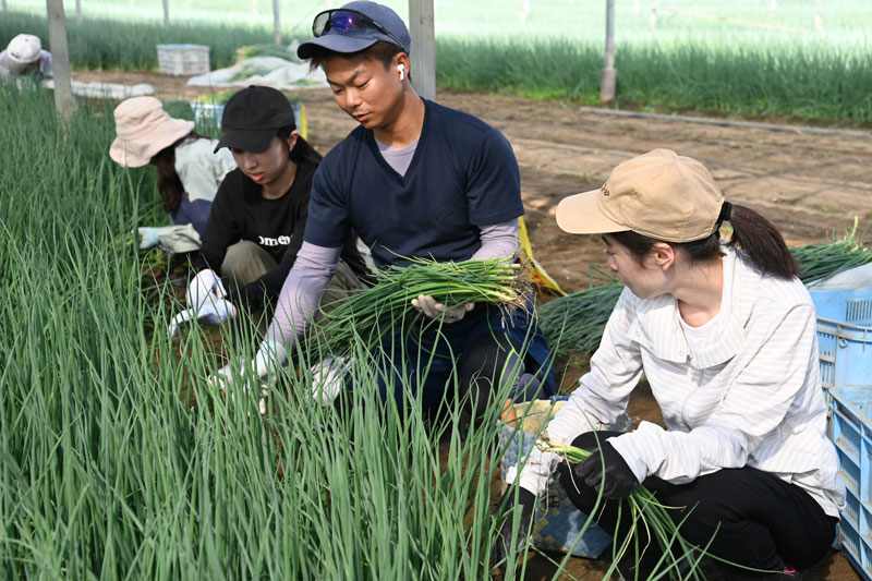 青壮年部が新入職員へ農業研修