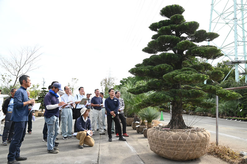 第95回静岡県植木品評会