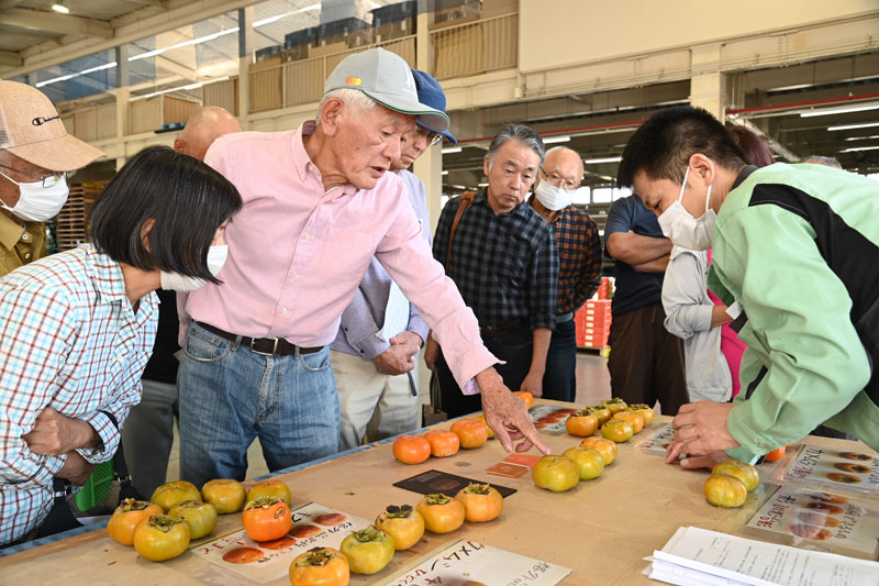 露地次郎柿 目ぞろい会