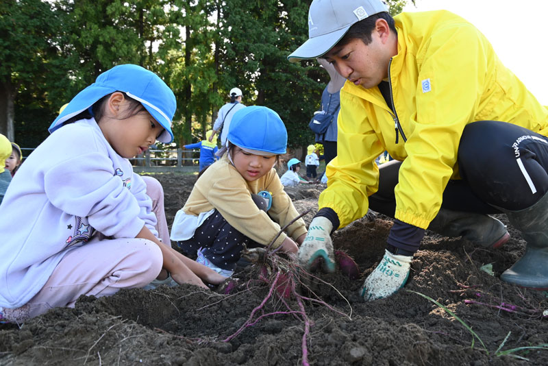 園児がサツマイモを収穫（中瀬支店 １部署１協同活動）