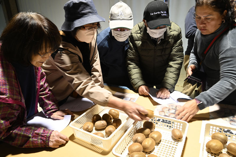 キウイフルーツ目ぞろい会
