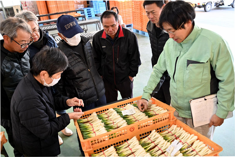 特産エシャレットの新物続々