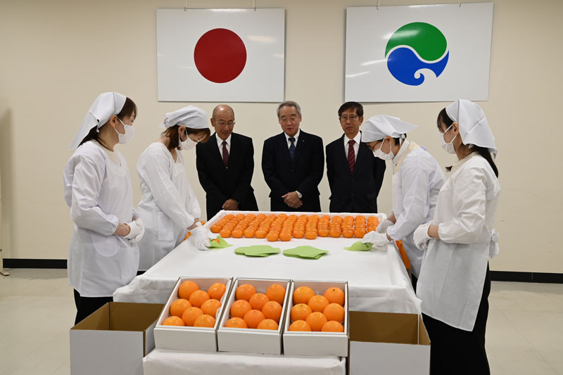 一つ一つ丁寧に箱詰めされ皇室へ