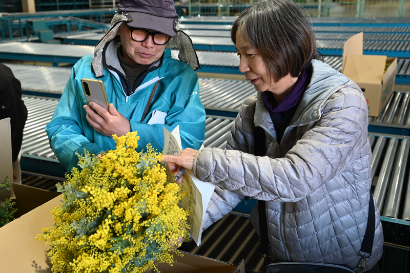 アカシア目ぞろい会
