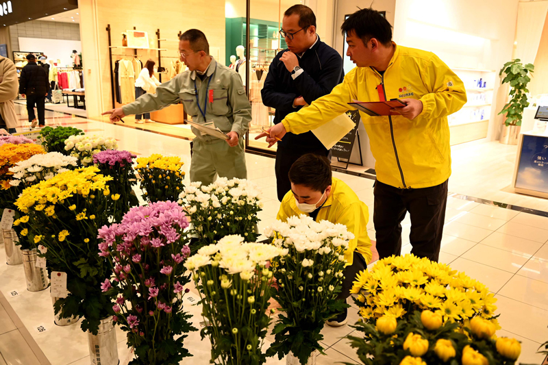 栽培技術の研鑽「第２６回ＪＡとぴあ浜松花き展示品評会審査会」