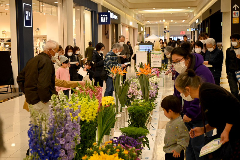 花の競演 フラワーカーニバル