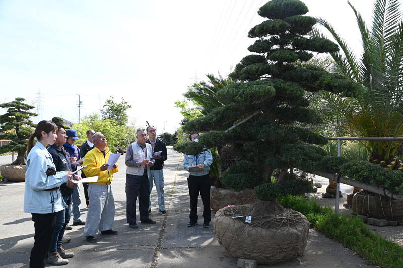 丹精込めた植木が集結