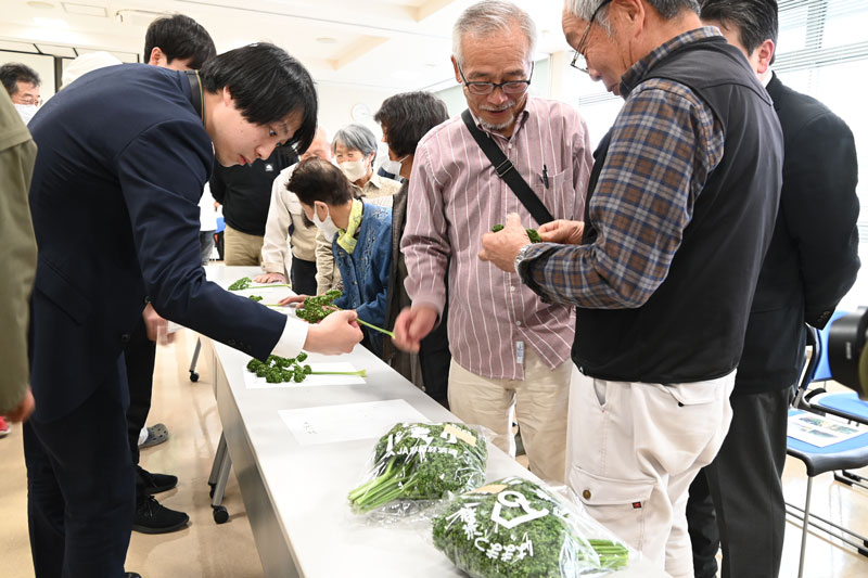 “食べるパセリ“をPR