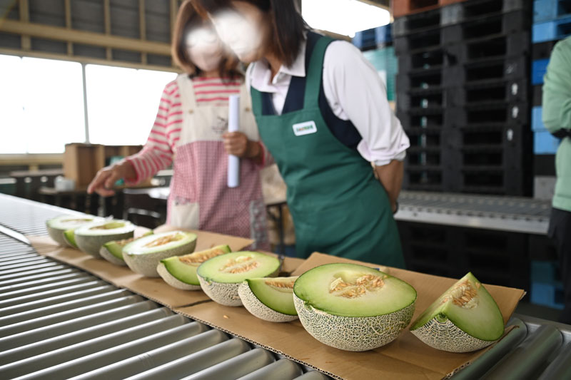高糖度で果汁たっぷり ブレイクメロン🍈目ぞろい会