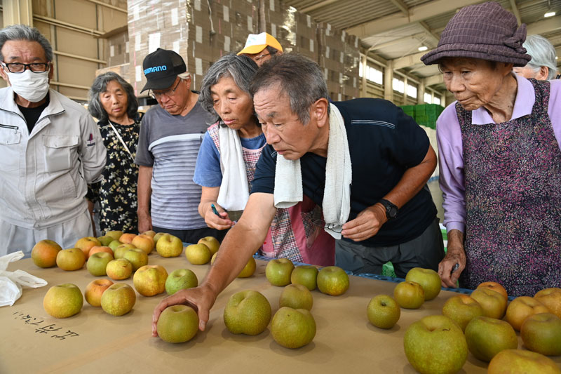 露地梨「幸水」目ぞろい会